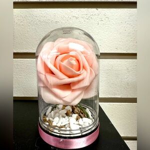 For Ever Pink Rose in Plastic Dome